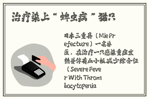 孩㓜交videos乱叫一区二区